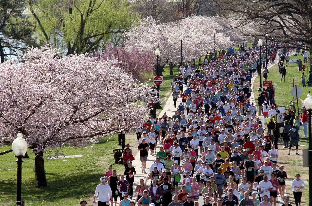Clima de Washington D.C. TurismoEEUU
