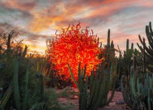 Desert Botanical Garden