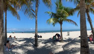 Crandon Beach, Miami