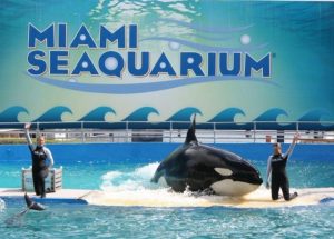 Miami Seaquarium