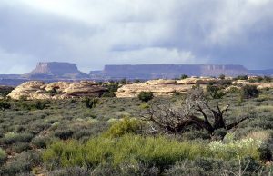 Parque Nacional Canyonlands