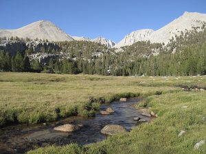 Parque Nacional Sequoia