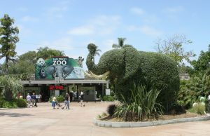 Zoológico de San Diego