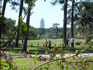 Clima soleado de Houston.