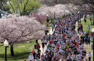 Clima de Washington D.C.