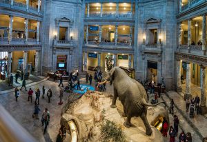 Smithsonian National Museum of Natural History