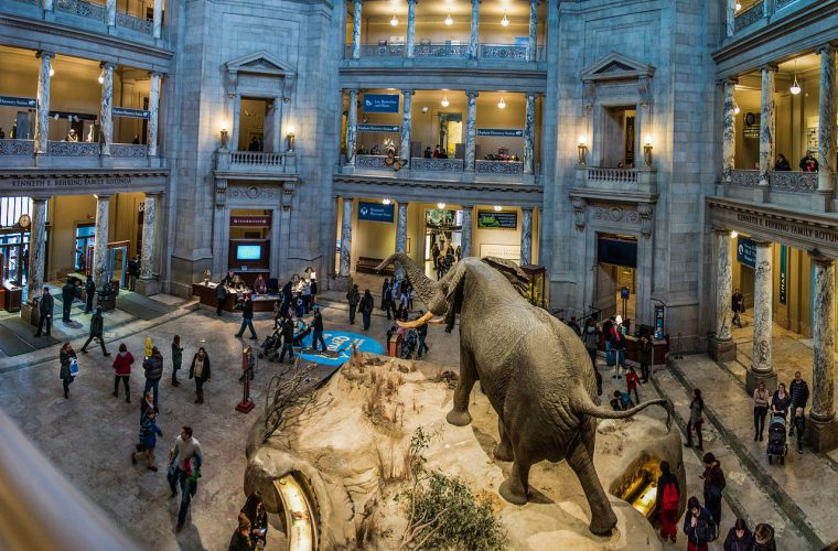 Smithsonian National Museum of Natural History