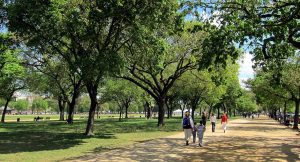 National Mall - Walking Path