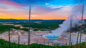 Yellowstone