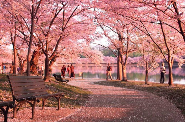 Estados Unidos en Primavera