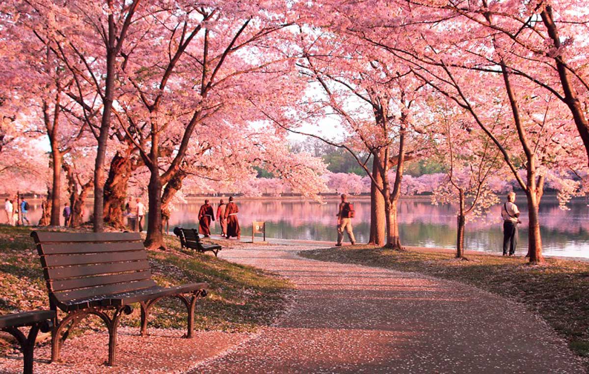 Estados Unidos en Primavera