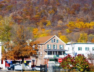 Hojas secas por otoño en Estados Unidos.