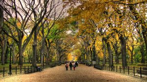 Central Park en otoño Estados Unidos
