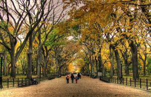 Central Park en otoño Estados Unidos