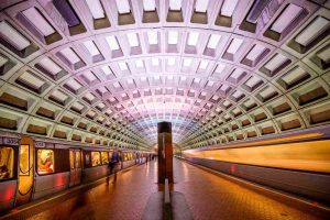 Techo del Metrorail decorado por la Comisión de Bellas Artes